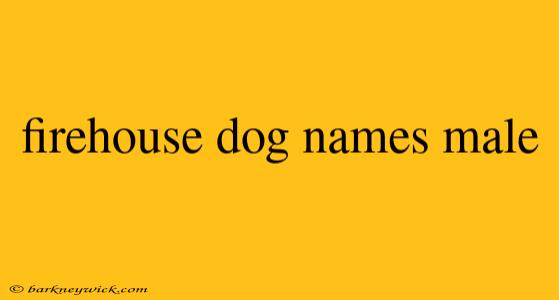 firehouse dog names male