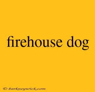 firehouse dog