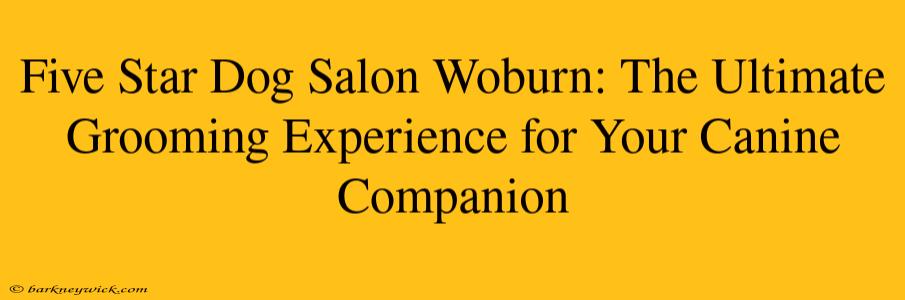 Five Star Dog Salon Woburn: The Ultimate Grooming Experience for Your Canine Companion