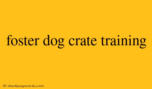 foster dog crate training