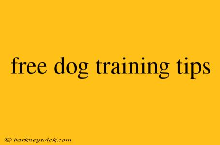 free dog training tips