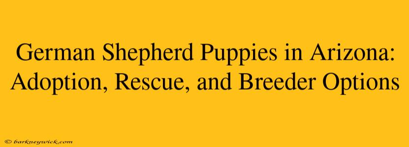 German Shepherd Puppies in Arizona: Adoption, Rescue, and Breeder Options