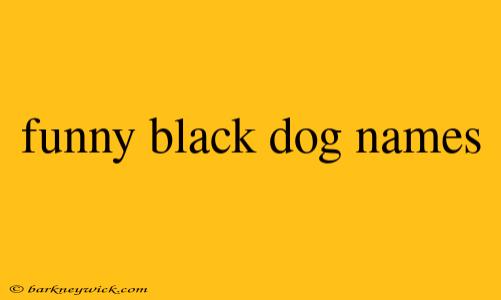 funny black dog names