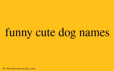 funny cute dog names