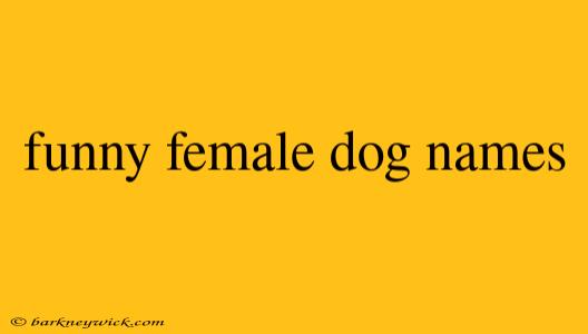 funny female dog names