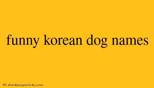 funny korean dog names