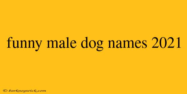 funny male dog names 2021