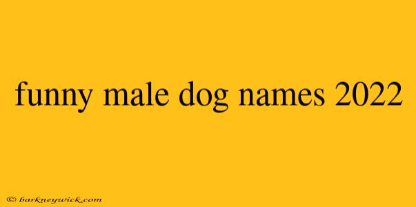 funny male dog names 2022