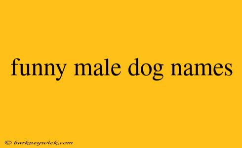 funny male dog names