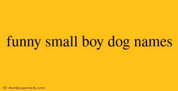 funny small boy dog names