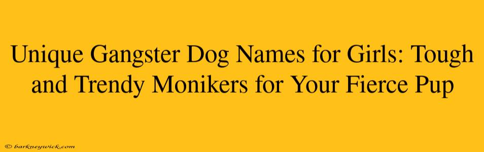 Unique Gangster Dog Names for Girls: Tough and Trendy Monikers for Your Fierce Pup