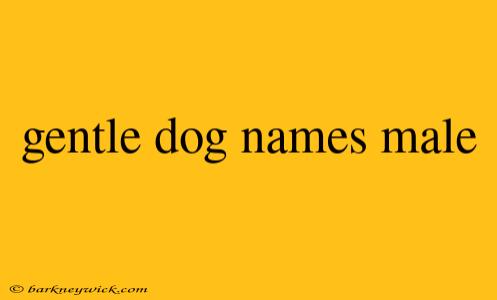 gentle dog names male