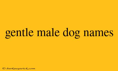 gentle male dog names