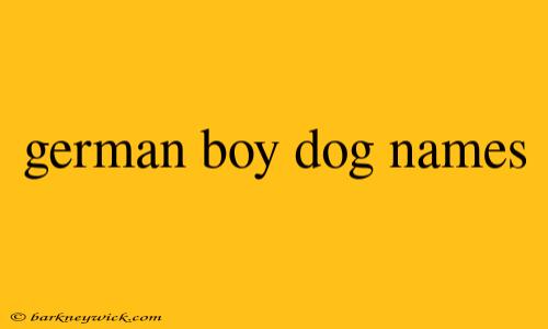 german boy dog names