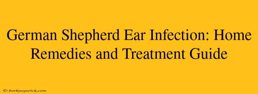 German Shepherd Ear Infection: Home Remedies and Treatment Guide