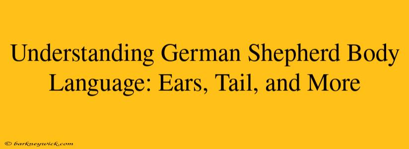 Understanding German Shepherd Body Language: Ears, Tail, and More