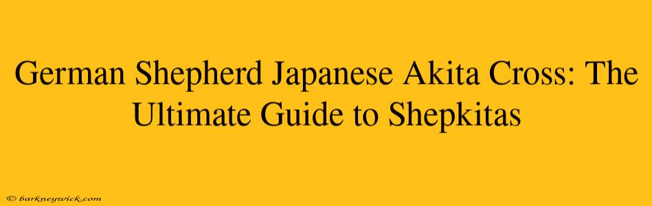 German Shepherd Japanese Akita Cross: The Ultimate Guide to Shepkitas