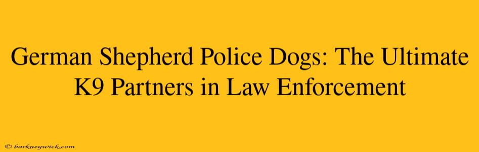 German Shepherd Police Dogs: The Ultimate K9 Partners in Law Enforcement