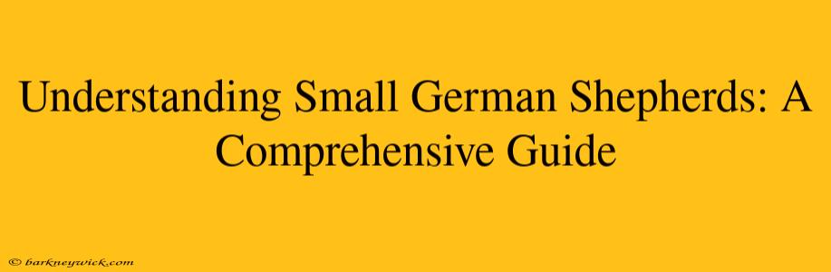 Understanding Small German Shepherds: A Comprehensive Guide