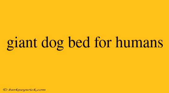 giant dog bed for humans