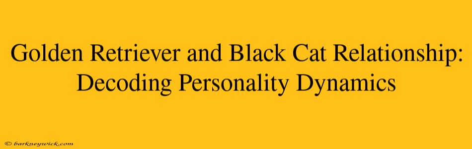 Golden Retriever and Black Cat Relationship: Decoding Personality Dynamics