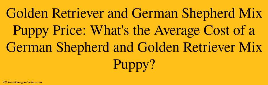 Golden Retriever and German Shepherd Mix Puppy Price: What's the Average Cost of a German Shepherd and Golden Retriever Mix Puppy?