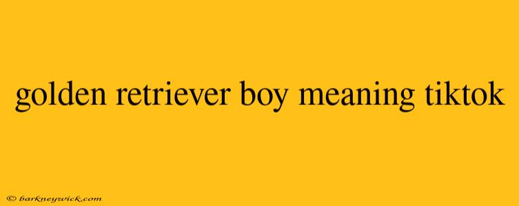 golden retriever boy meaning tiktok