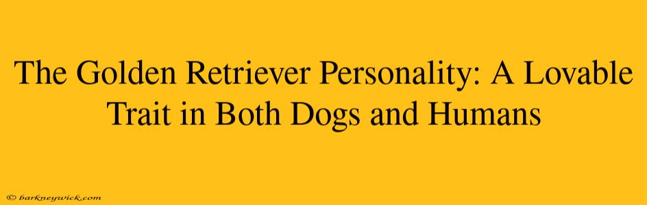 The Golden Retriever Personality: A Lovable Trait in Both Dogs and Humans