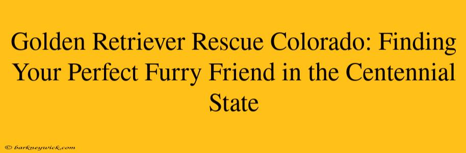 Golden Retriever Rescue Colorado: Finding Your Perfect Furry Friend in the Centennial State