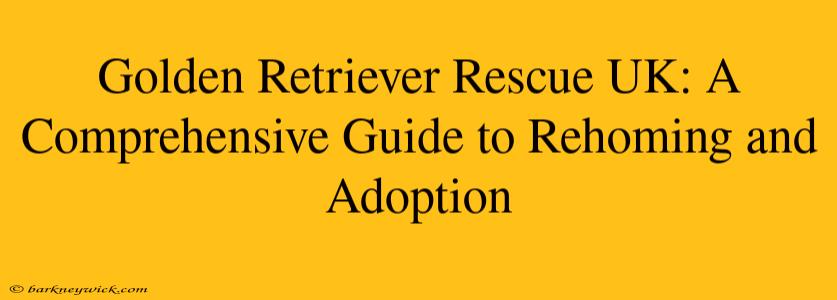 Golden Retriever Rescue UK: A Comprehensive Guide to Rehoming and Adoption