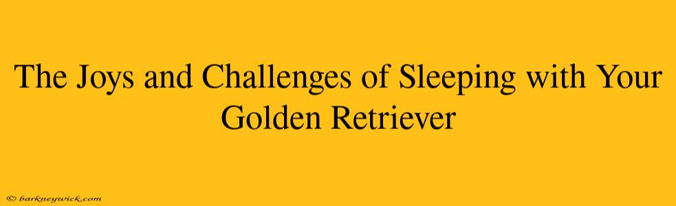 The Joys and Challenges of Sleeping with Your Golden Retriever