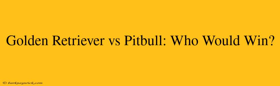 Golden Retriever vs Pitbull: Who Would Win?