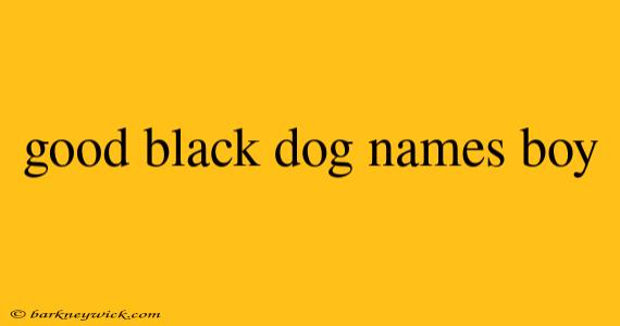 good black dog names boy