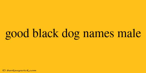 good black dog names male