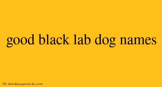 good black lab dog names