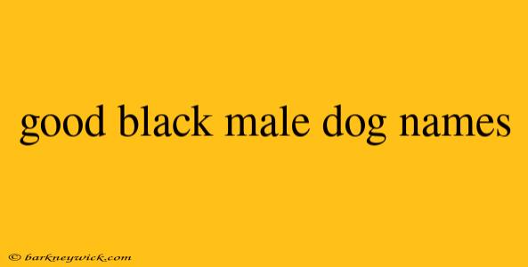 good black male dog names