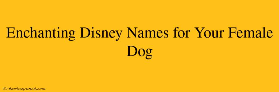 Enchanting Disney Names for Your Female Dog 