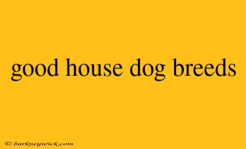 good house dog breeds