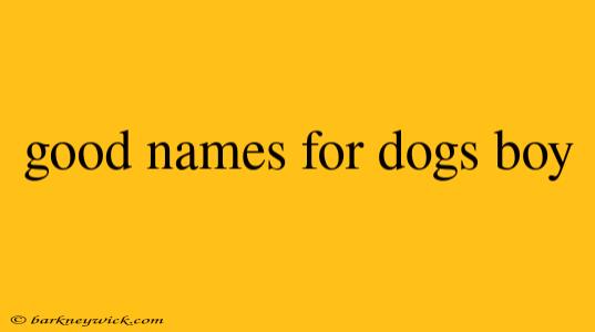 good names for dogs boy