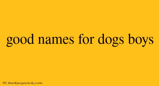 good names for dogs boys