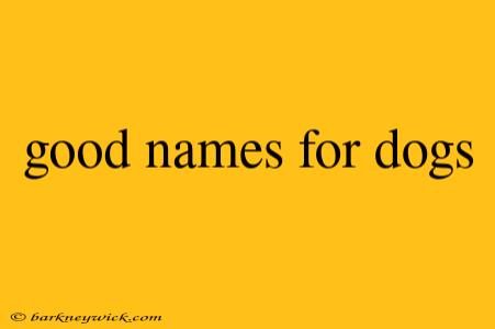 good names for dogs