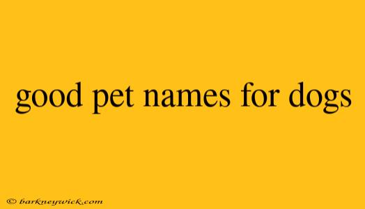 good pet names for dogs