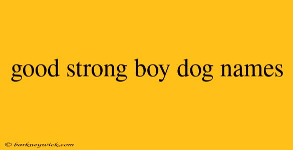 good strong boy dog names