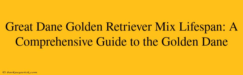 Great Dane Golden Retriever Mix Lifespan: A Comprehensive Guide to the Golden Dane