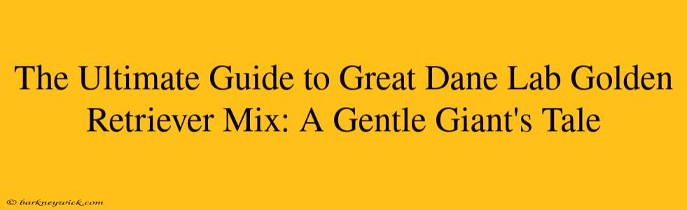 The Ultimate Guide to Great Dane Lab Golden Retriever Mix: A Gentle Giant's Tale