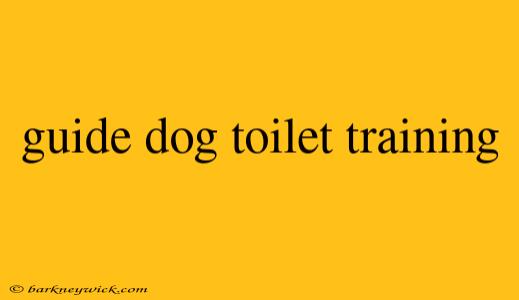 guide dog toilet training