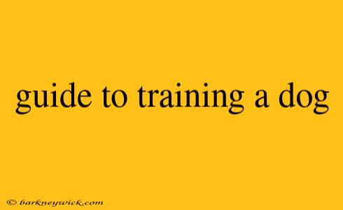 guide to training a dog