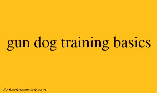 gun dog training basics