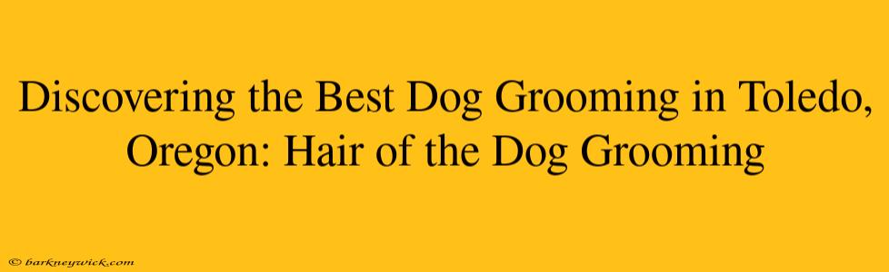 Discovering the Best Dog Grooming in Toledo, Oregon: Hair of the Dog Grooming