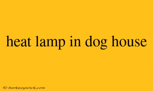 heat lamp in dog house